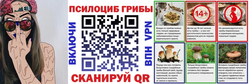 Псилоцибиновые грибы Psilocybe  Лихославль 